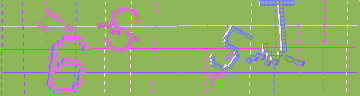 確認代碼