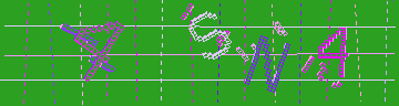 確認代碼
