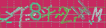確認代碼