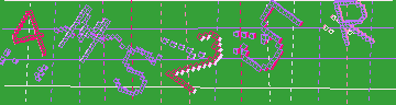 確認代碼