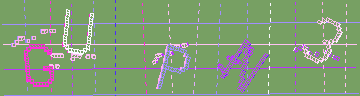 確認代碼