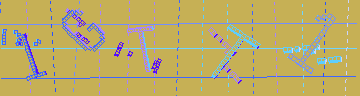 確認代碼