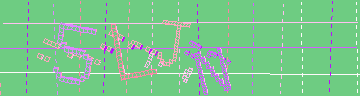確認代碼