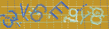 確認代碼