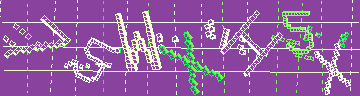 確認代碼