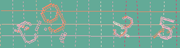 確認代碼