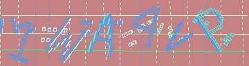 確認代碼