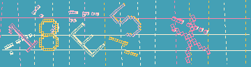 確認代碼