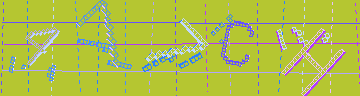 確認代碼