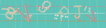 確認代碼
