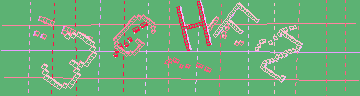 確認代碼