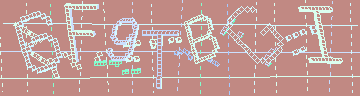 確認代碼