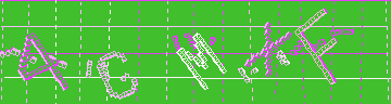 確認代碼