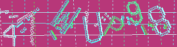 確認代碼