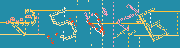 確認代碼