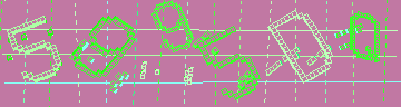 確認代碼