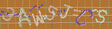 確認代碼