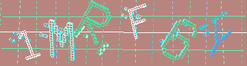 確認代碼