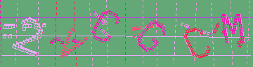 確認代碼