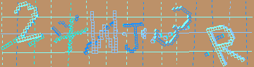 確認代碼