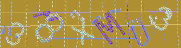 確認代碼