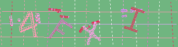 確認代碼