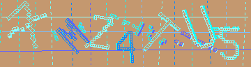 確認代碼