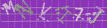 確認代碼