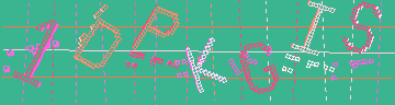 確認代碼
