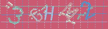確認代碼