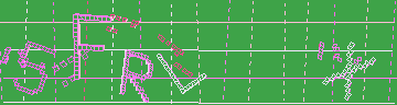 確認代碼