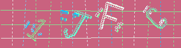 確認代碼