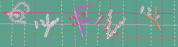 確認代碼