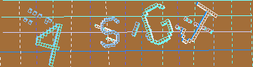 確認代碼