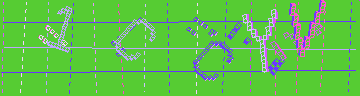 確認代碼