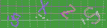 確認代碼