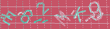 確認代碼