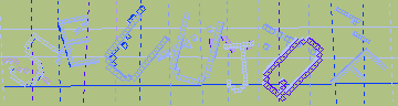 確認代碼
