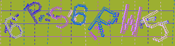 確認代碼