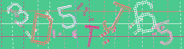 確認代碼
