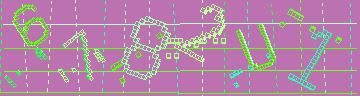 確認代碼