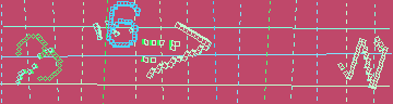 確認代碼