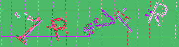 確認代碼