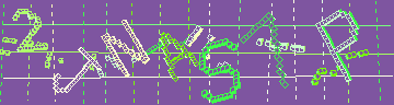 確認代碼