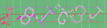 確認代碼