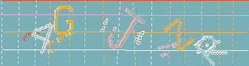 確認代碼