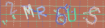 確認代碼