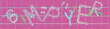 確認代碼