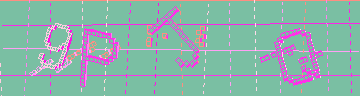 確認代碼