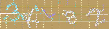 確認代碼